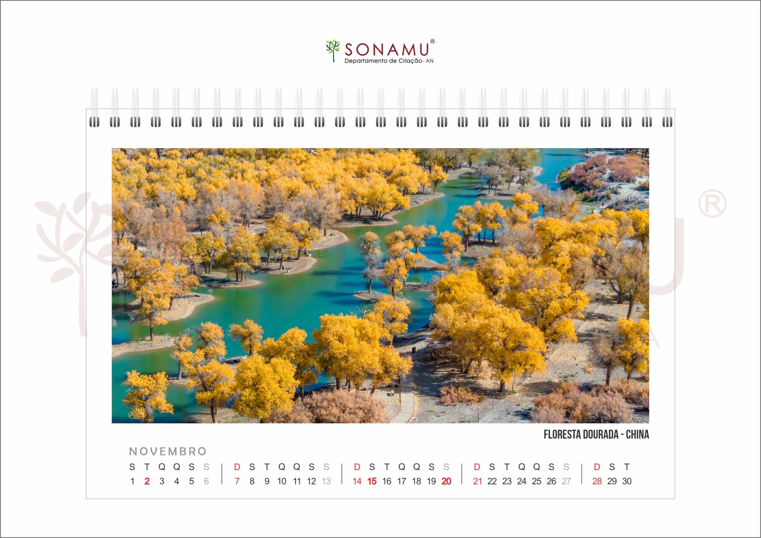 c11